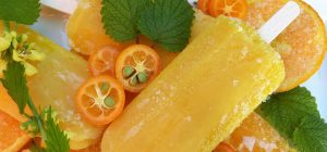 Orangeneis am Stiel mit ein paar gefrorenen Früchten und Minzblättern.