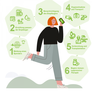 Eine Grafik von einer Frau mit Handy in der Hand, dazu Auflistung des Transplantationsablaufs