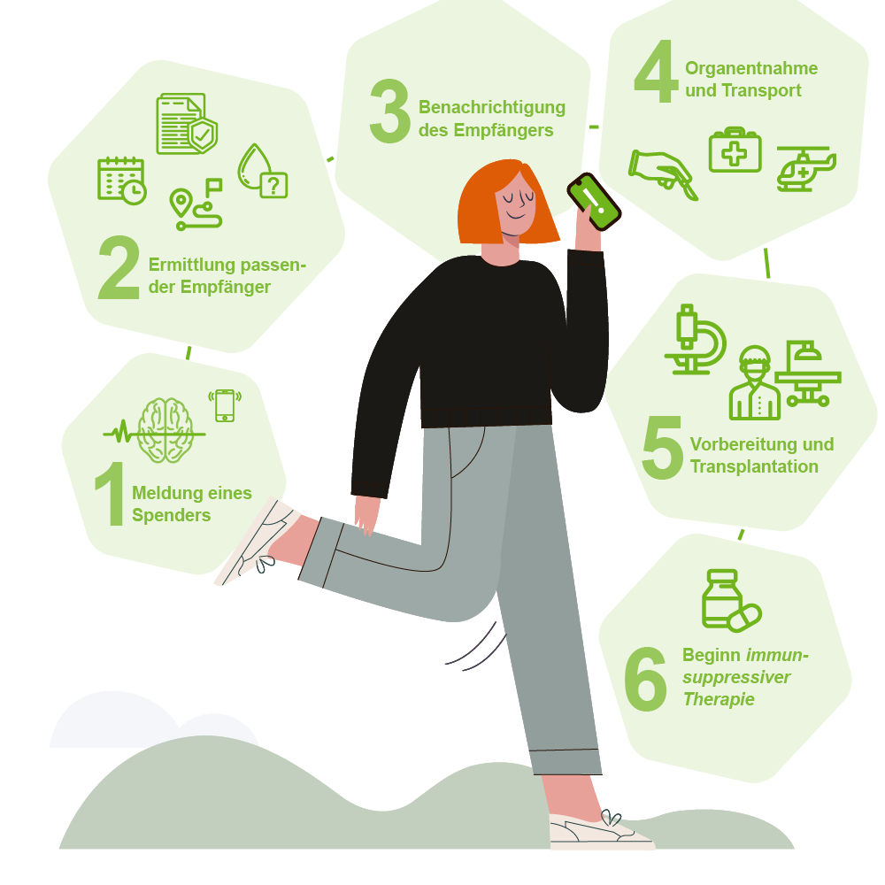 Transplant-Wissen > Vor der Transplantation > Ablauf Transplantation, Ablauf Organspende, Ablauf Organtransplantation > organisierte Frau mit Handy in der Hand