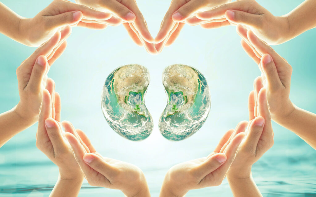 Mehrere Hände bilden einen herzförmigen Rahmen um zwei Nierenmodelle, die die Oberfläche der Erde widerspiegeln