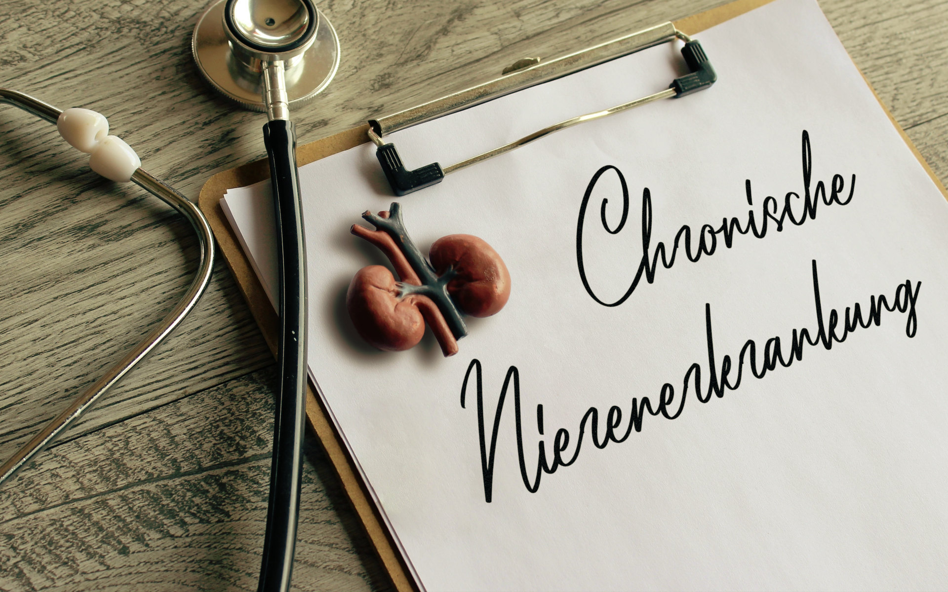 Ein Stethoskop liegt auf einem Klemmbrett, auf dem eine kleine Plastik der Nieren liegt und der Schriftzug Chronische Nierenerkrankung zu lesen ist. Es steht symbolisch dafür, dass viele Patientinnen und Patienten mit der Diagnose chronische Nierenerkrankung oder Niereninsuffizienz auf eine Nierenersatztherapie, das heißt eine Dialyse oder eine Nierentransplantation, angewiesen sind.
