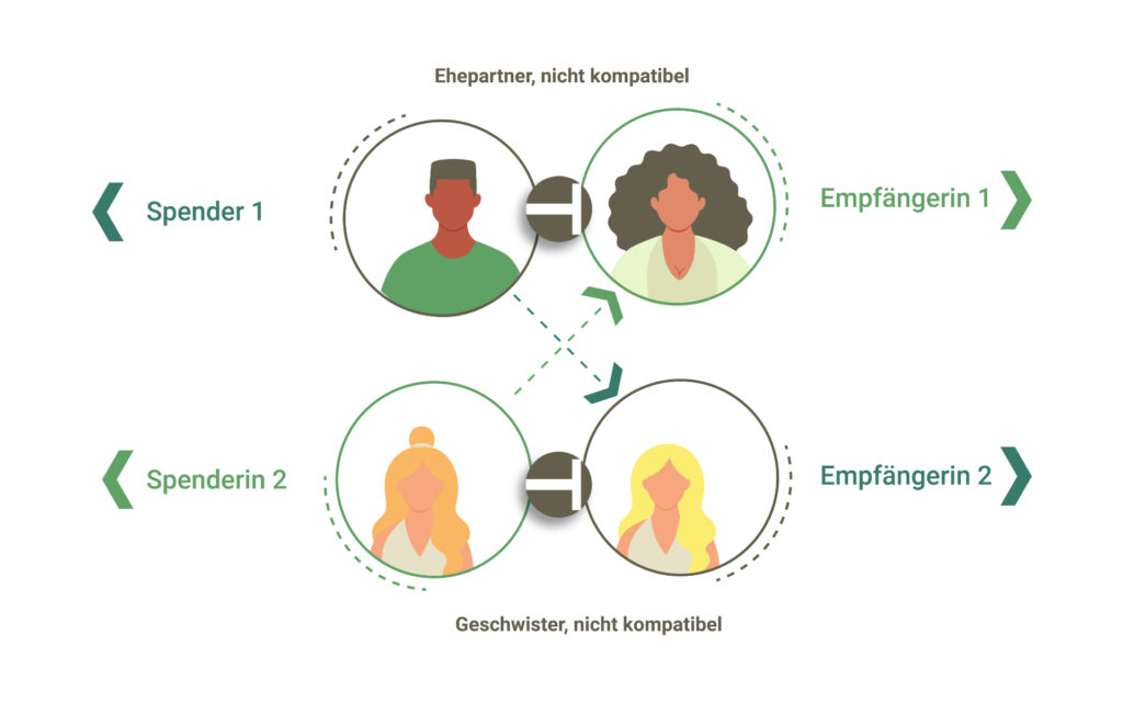 Grafik zeigt die Crossover-Lebendspende: Zwei Paare tauschen Nieren, da eine direkte Spende wegen Gewebe-Unverträglichkeit nicht möglich ist.