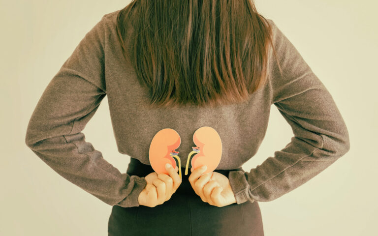 Eine junge Frau hält ihre Hände hinter den Rücken, in jeder Hand hält sie ein Modell einer Niere.