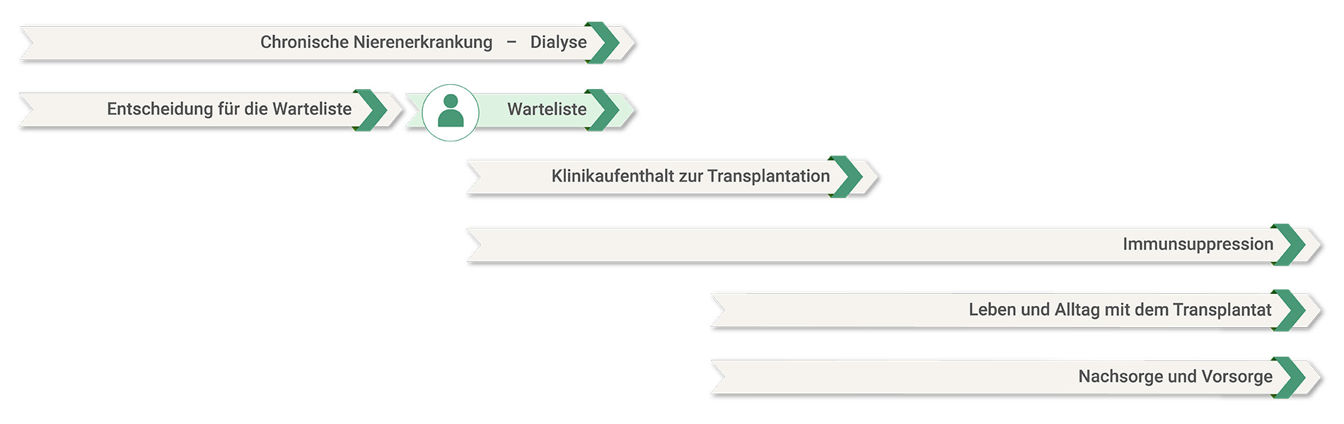 Grafische Darstellung eines Zeitstrahls, der den Verlauf einer Nierentransplantation zeigt von der Diagnose einer chronischen Nierenerkrankung über die Transplantation bis zur Nachsorge – mit Kennzeichnung des aktuell geöffneten Kapitels des Patientenportals: Auf der Warteliste für eine Nierentransplantation.