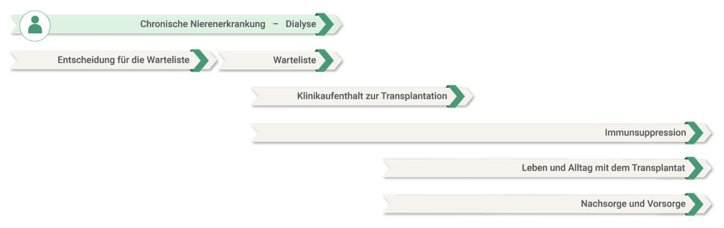 Grafische Darstellung eines Zeitstrahls, der den Verlauf einer Nierentransplantation zeigt von der Diagnose einer chronischen Nierenerkrankung über die Transplantation bis zur Nachsorge – mit Kennzeichnung des aktuell geöffneten Kapitels des Patientenportals
