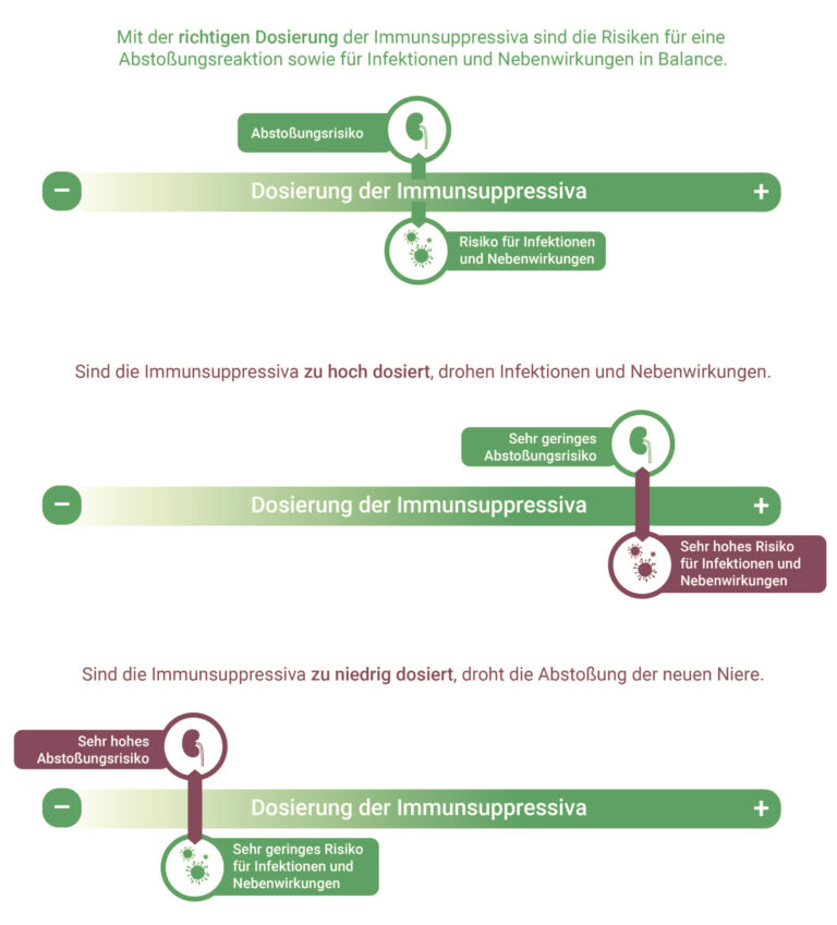 Infografiken mit einer Waage, die die richtige Balance der Immunsuppression zwischen Abstoßungsrisiko und Nebenwirkungs- bzw. Infektionsrisiko darstellt.