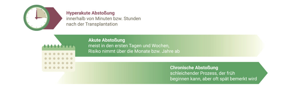 Infografik, die die unterschiedlichen Arten von Abstoßungsreaktionen einer Spenderniere im Verlauf der Zeit nach der Transplantation darstellt.