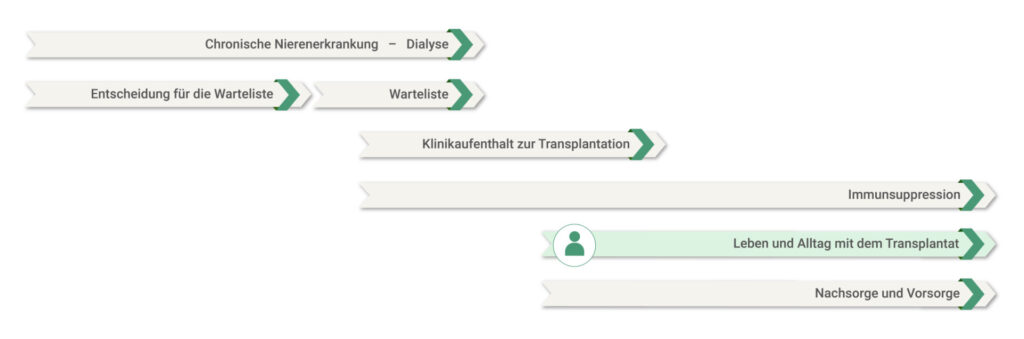 Grafische Darstellung eines Zeitstrahls, der den Verlauf einer Nierentransplantation zeigt von der Diagnose einer chronischen Nierenerkrankung über die Transplantation bis zur Nachsorge – mit Kennzeichnung des aktuell geöffneten Kapitels des Patientenportals: Leben und Alltag mit dem Nierentransplantat.