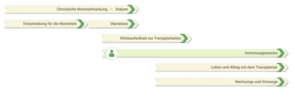 Grafische Darstellung eines Zeitstrahls, der den Verlauf einer Nierentransplantation zeigt von der Diagnose einer chronischen Nierenerkrankung über die Transplantation bis zur Nachsorge – mit Kennzeichnung des aktuell geöffneten Kapitels des Patientenportals: Immunsuppression.