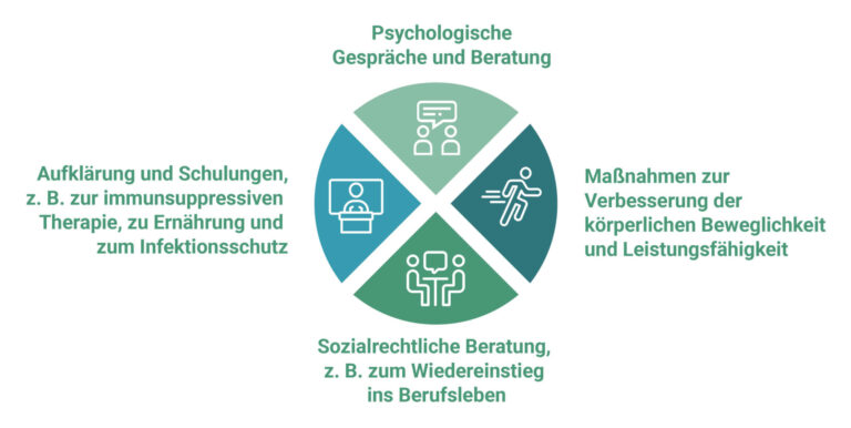 Infografik, die unterschiedliche Maßnahmen aufzeigt, die im Rahmen einer Rehabilitation nach einer Nierentransplantation durchgeführt werden