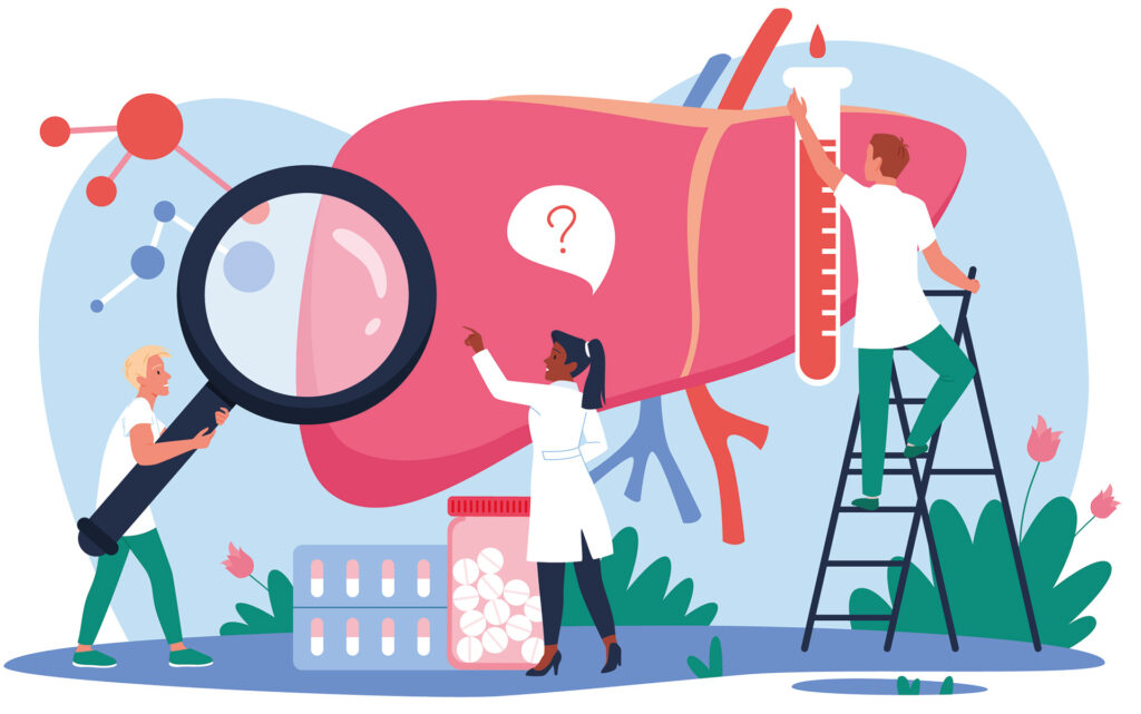 Illustration von drei Personen, die eine überdimensionale Leber untersuchen – mit Lupe, Reagenzglas und Medikamenten.